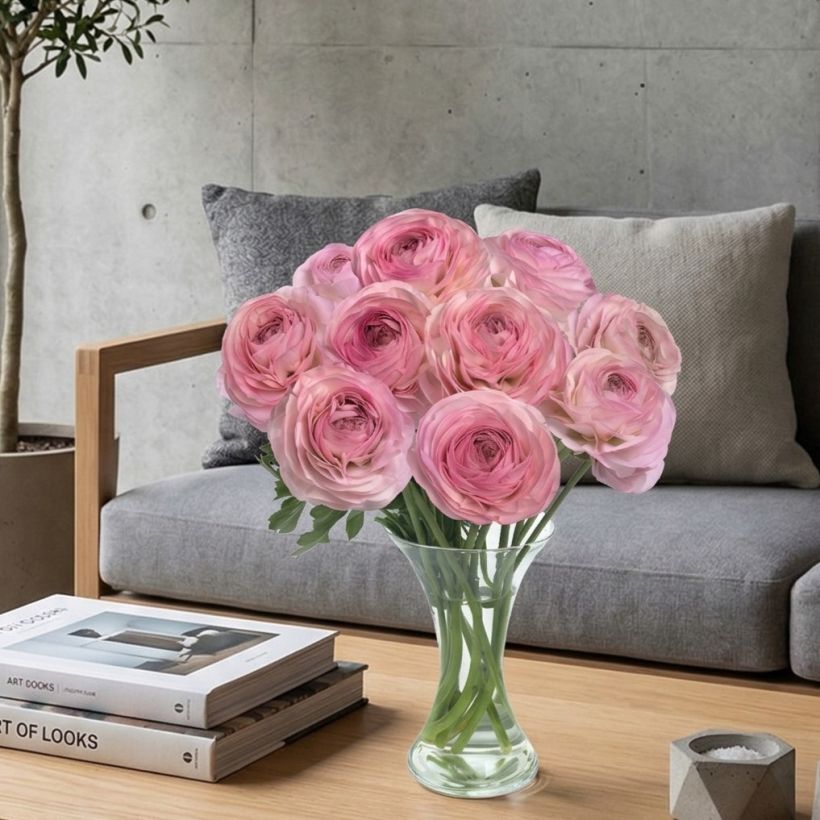 Renoncule des fleuristes Romance Seine – Ranunculus asiaticus (Port)