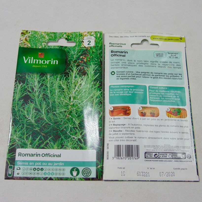 Example of Romarin officinal - Vilmorin le sachet de graines de 1 grammes as you get