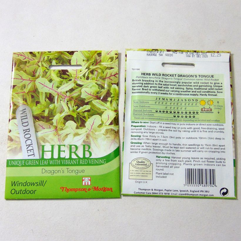 Exemple de spécimen de Roquette Dragons Tongue le sachet de 500 graines environ tel que livré