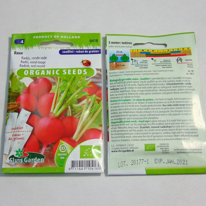 Example of Ruban 5m Radis Rond Rouge Raxe Bio - Raphanus sativus Livré en ruban de 5 mètres as you get
