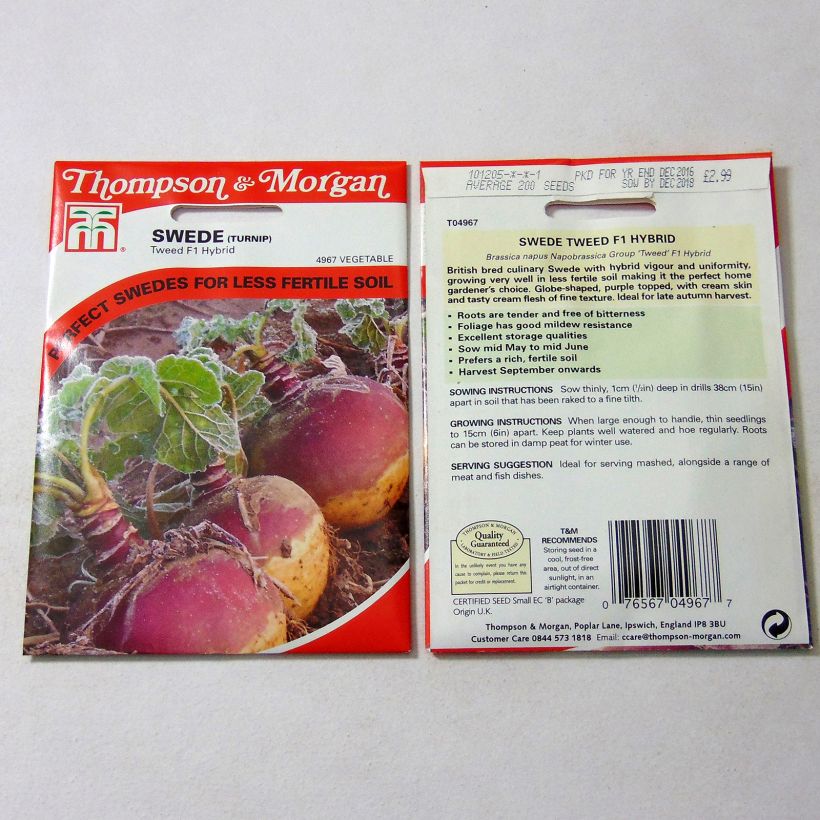 Example of Rutabaga Tweed le sachet de 200 graines environ as you get