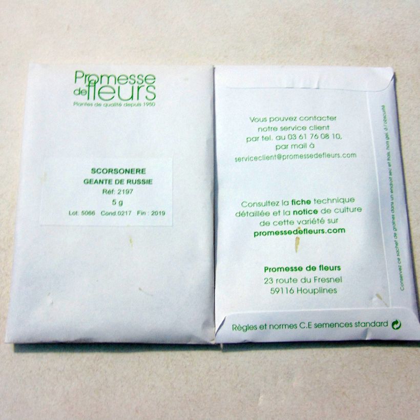 Example of Scorsonère Géante Noire de Russie - Scorzonera hispanica  le sachet de 300 graines environ (minimum 5g) as you get