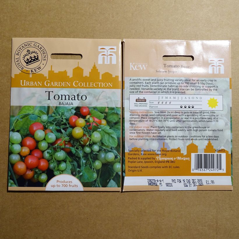 Exemple de spécimen de Tomate Bajaja le sachet de 15 graines environ tel que livré