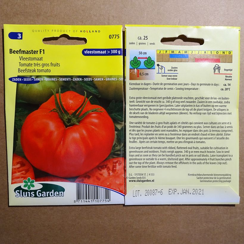 Example of Tomate Beefmaster F1 - Très gros fruits  le sachet de 25 graines environ as you get