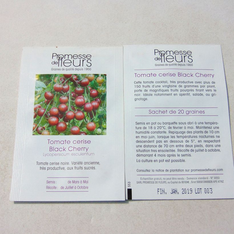 Example of Tomate Black Cherry -  Tomate Cerise noire le sachet de +/- 50 graines environ (minimum 0,1g) as you get