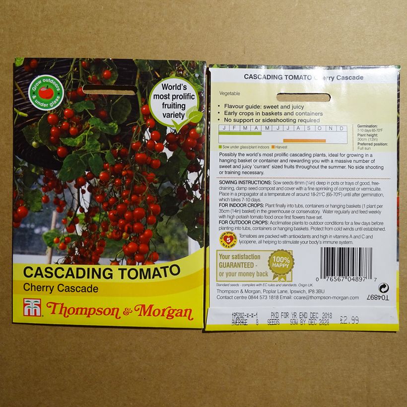Exemple de spécimen de Tomate Cherry Cascade - Tomate-cerise le sachet de 8 graines environ tel que livré