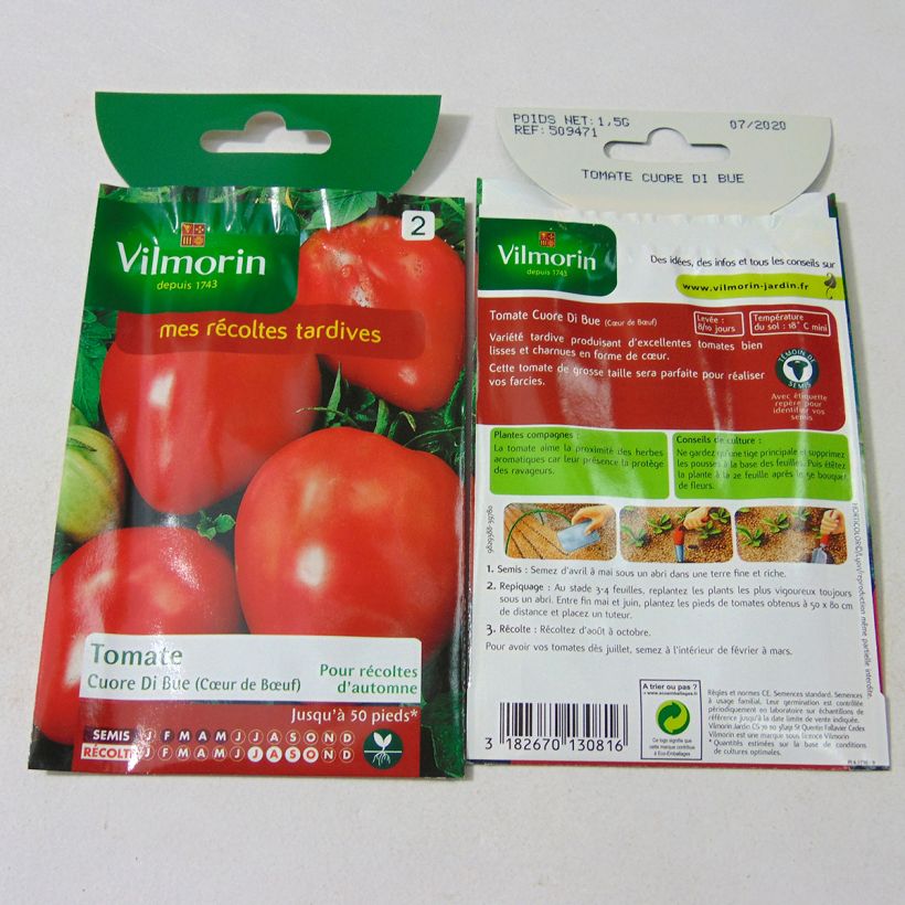 Example of Tomate Cuor di Bue - Cœur de bœuf - Vilmorin le sachet de 300 graines environ (1g) as you get