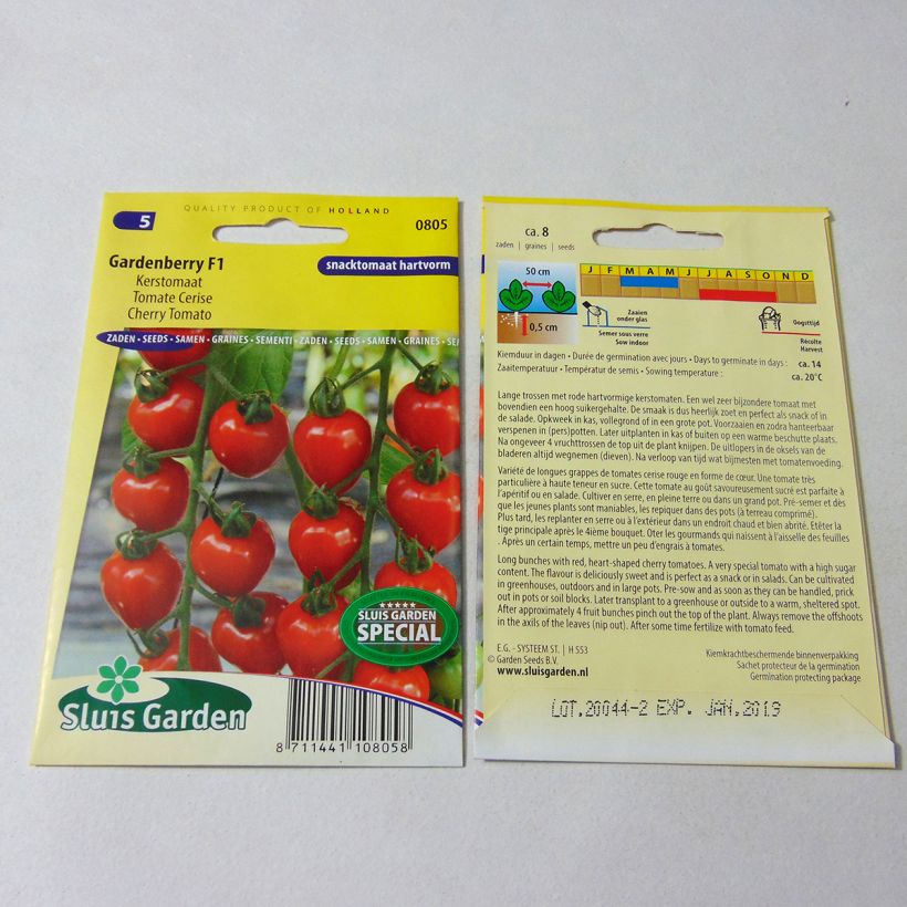 Example of Tomate Gardenberry F1 - Tomate-cerise le sachet de 7 graines environ as you get