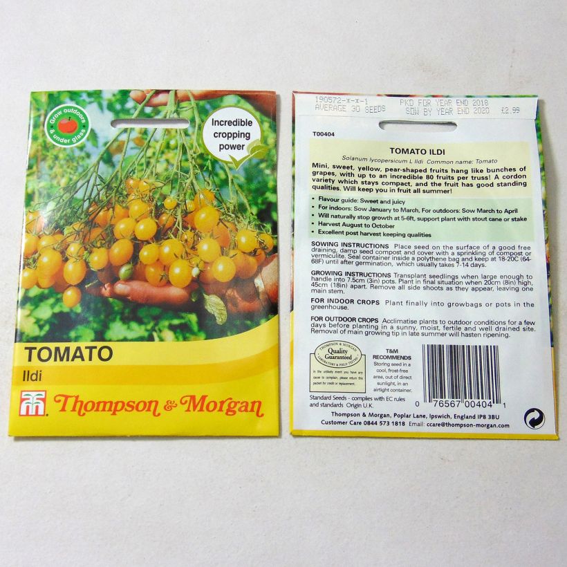 Example of Tomate Ildi - Tomate-cerise le sachet de 40 graines environ as you get