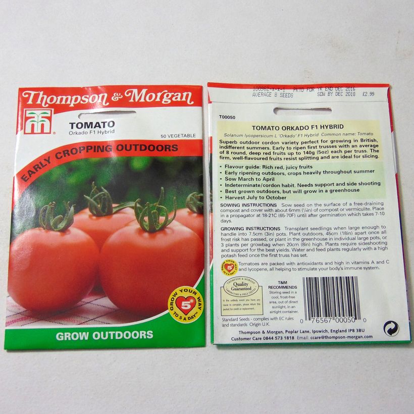 Exemple de spécimen de Tomate Orkado - Tomate Grappe le sachet de 8 graines environ tel que livré