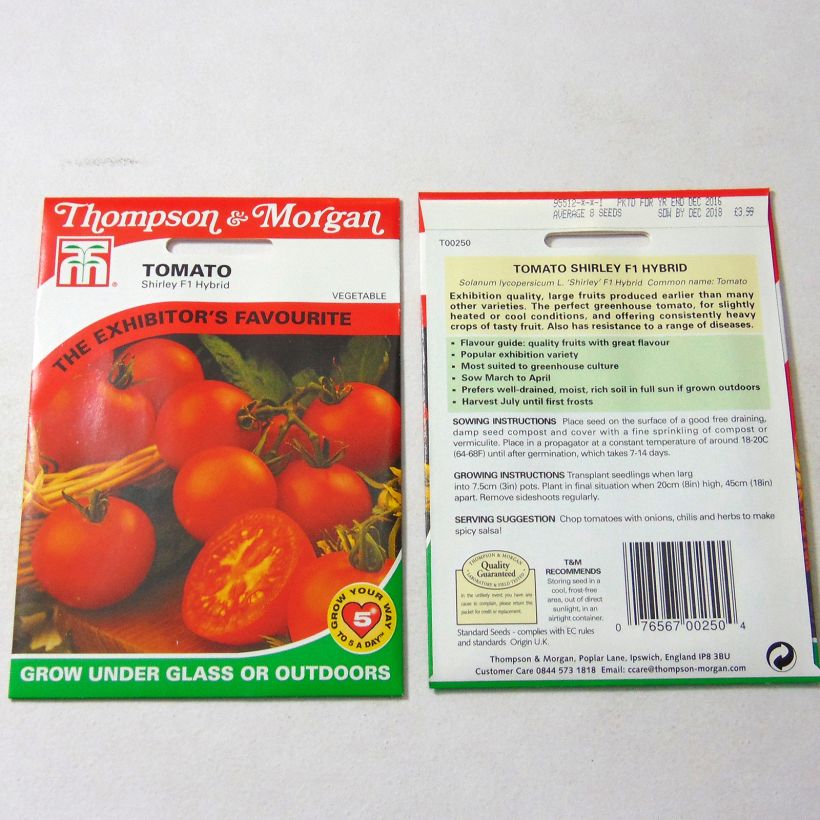 Example of Tomate Shirley F1 - Tomate Grappe le sachet de 10 graines environ as you get