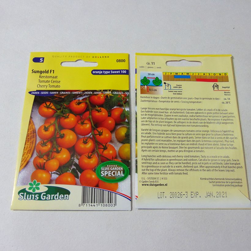 Example of Tomate Sungold F1 - Tomate Cerise  le sachet de 11 graines environ as you get