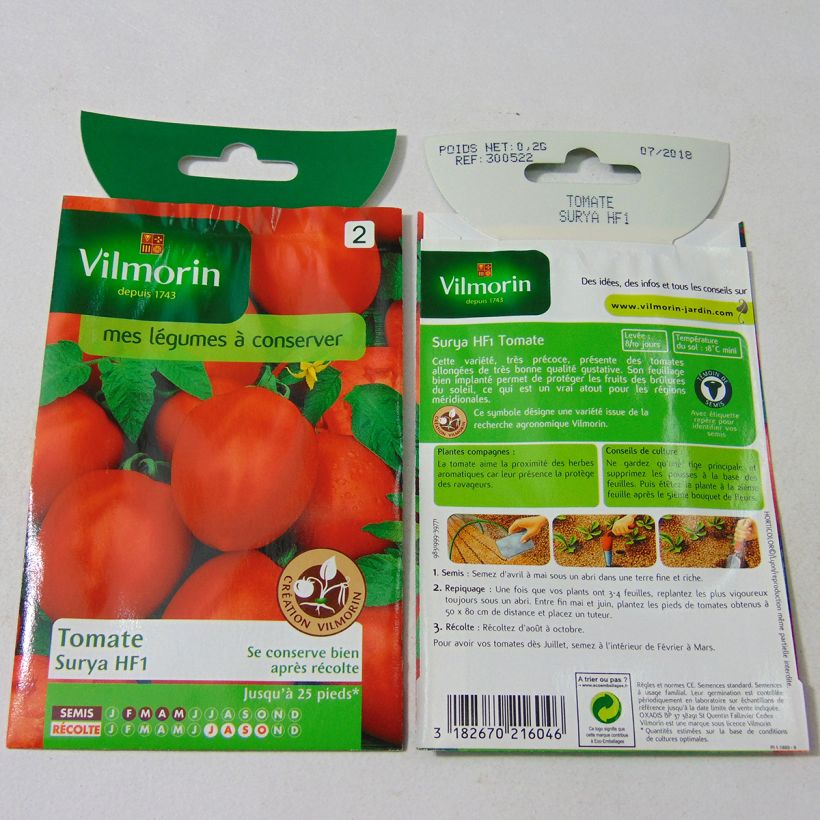 Exemple de spécimen de Tomate Surya F1 (Création Vilmorin) - Vilmorin le sachet de 60 graines environ (0.2g) tel que livré