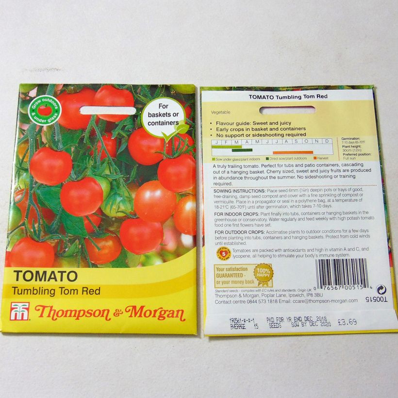 Example of Tomate Tumbling Tom Red - Tomate-cerise le sachet de 15 graines environ as you get