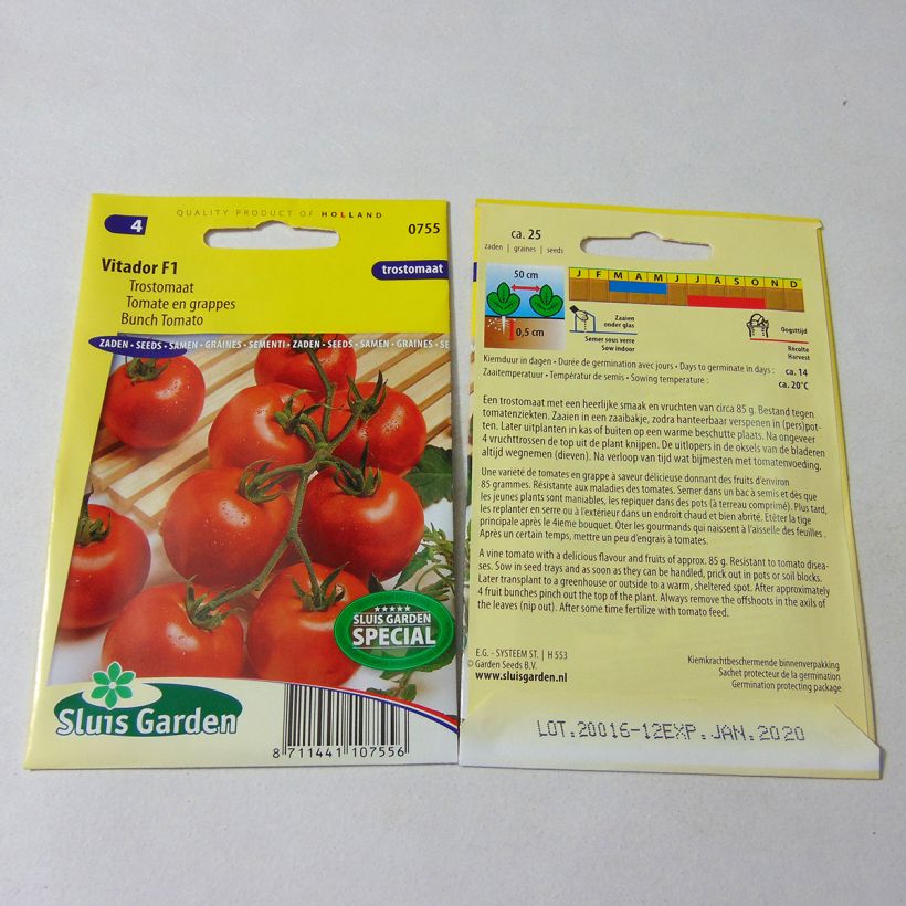 Example of Tomate Vitador F1 - Tomate grappe le sachet de 25 graines environ as you get