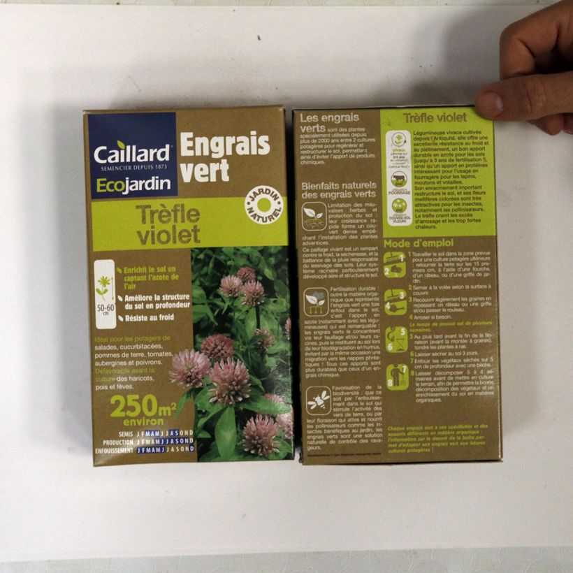 Exemple de spécimen de Tréfle violet 250 m² - Engrais vert Boîte 250 m² tel que livré
