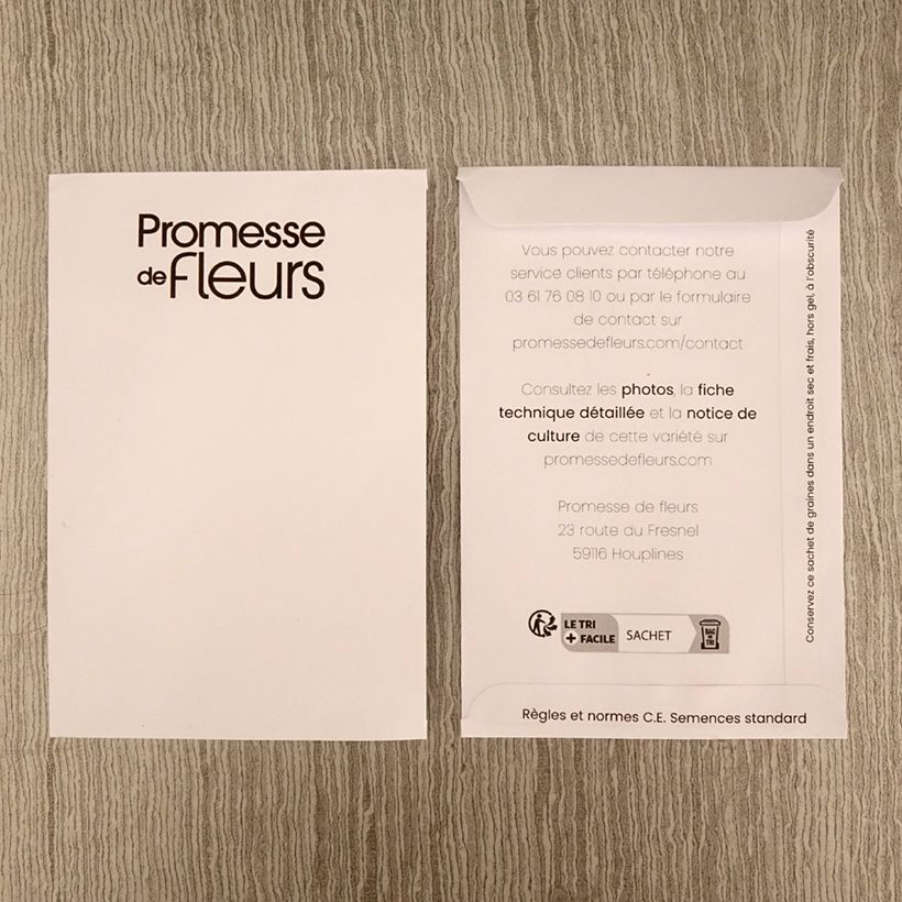 Exemple de spécimen de Graines de Cynoglossum Firmament - Myosotis chinois le sachet de +/- 200 graines environ (minimum 1g) tel que livré