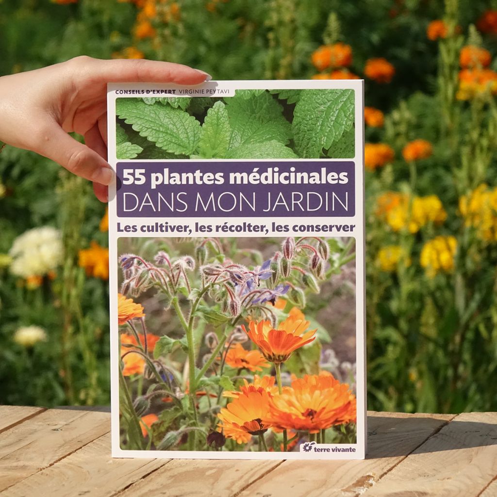55 plantes médicinales dans mon jardin