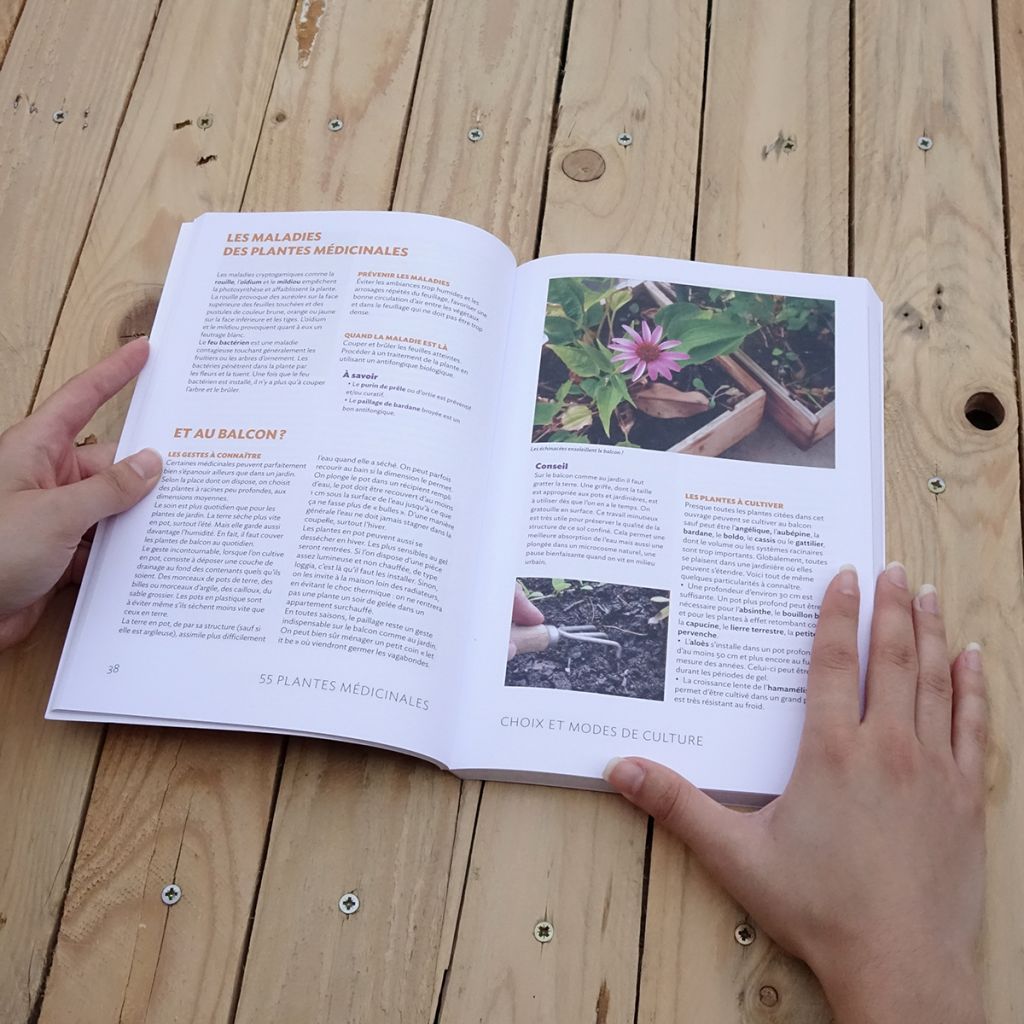 55 plantes médicinales dans mon jardin