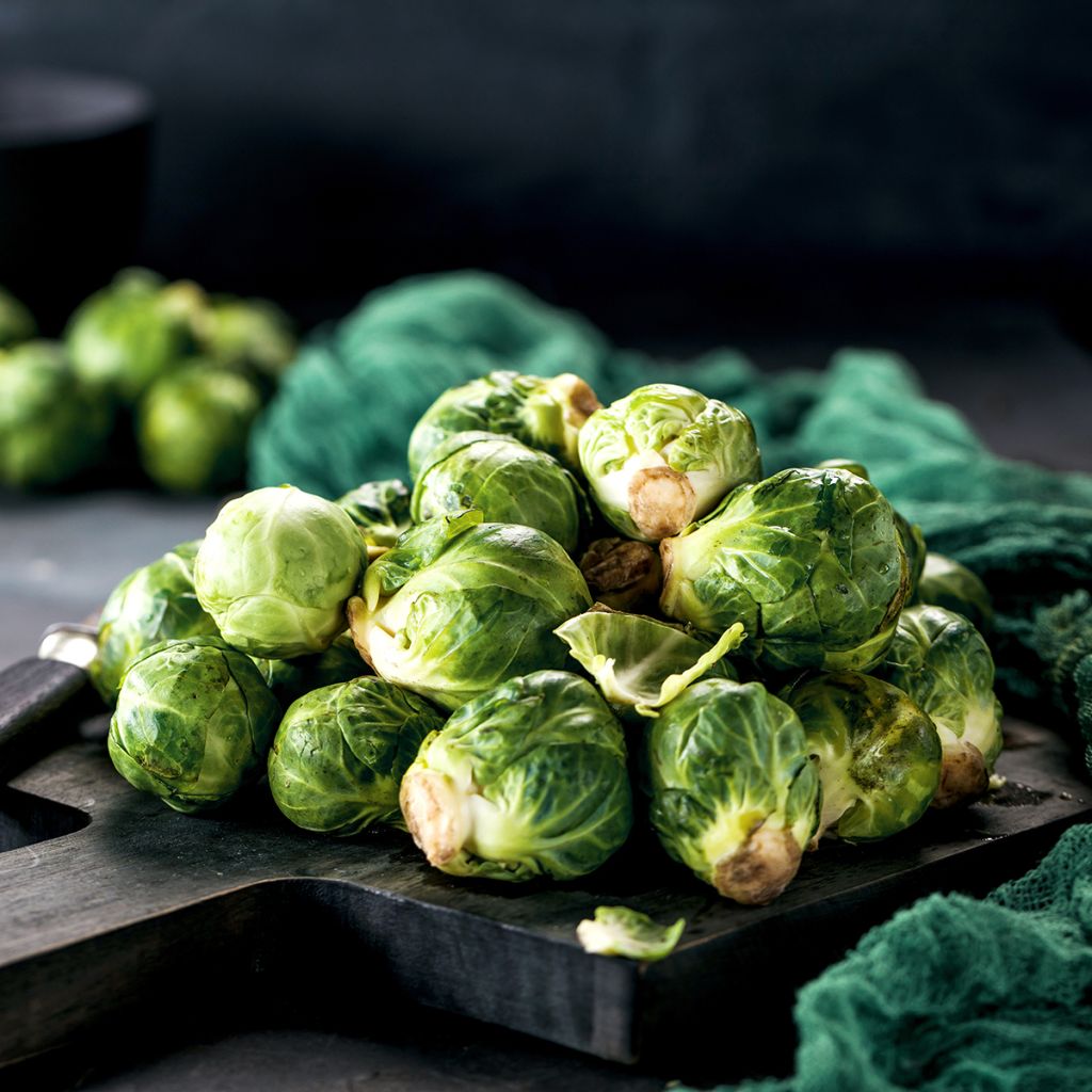 Chou de Bruxelles de Rosny