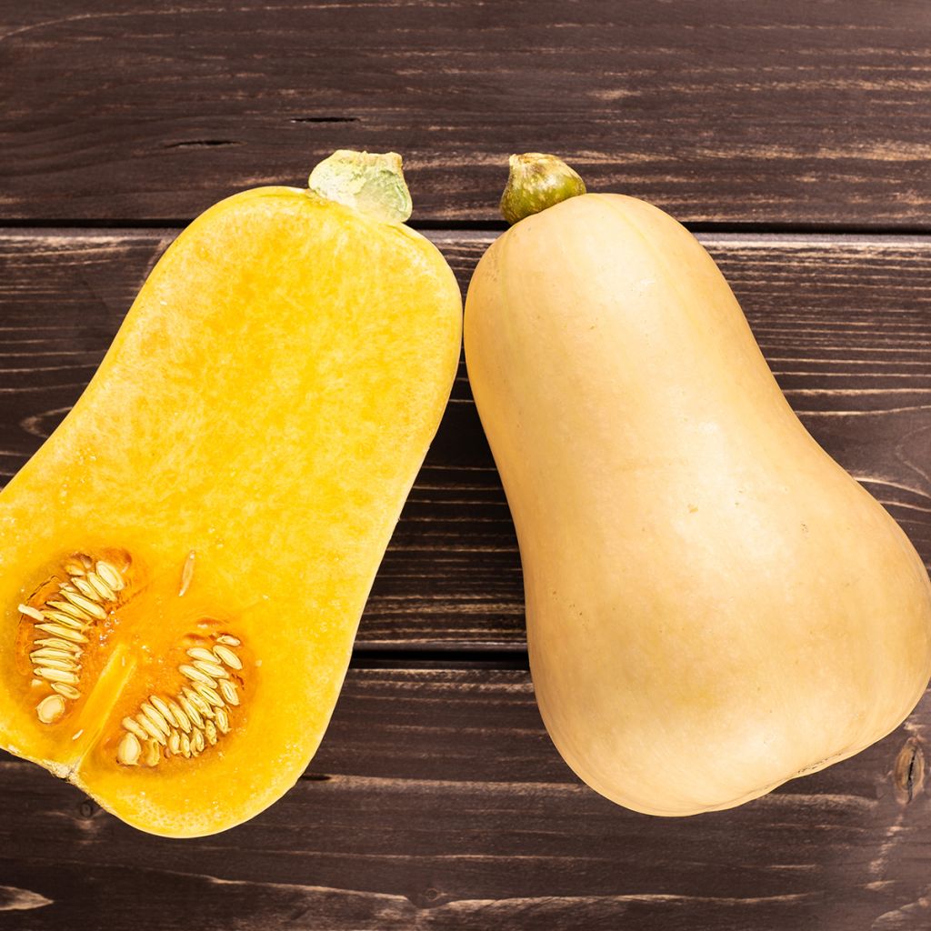 Courge Butternut Waltham 