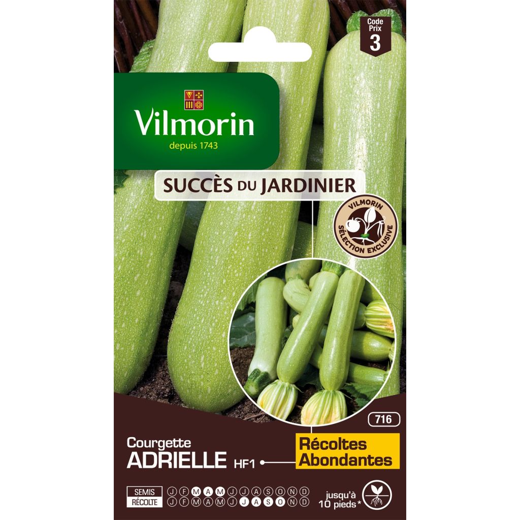 Courgette Adrielle F1 (Création Vilmorin) - Vilmorin