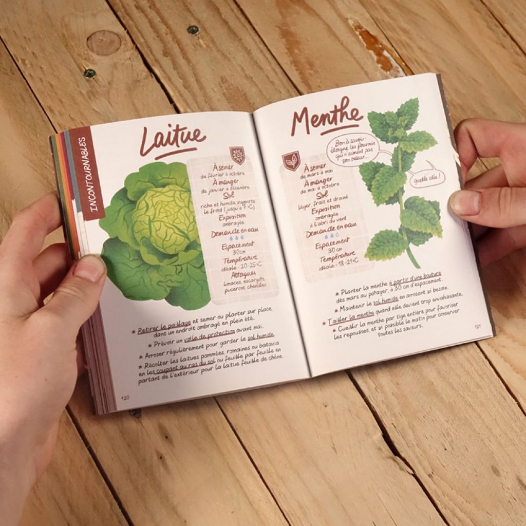 Démarrer son potager