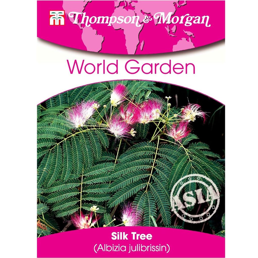 Graines d'Albizia julibrissin - Arbre à Soie