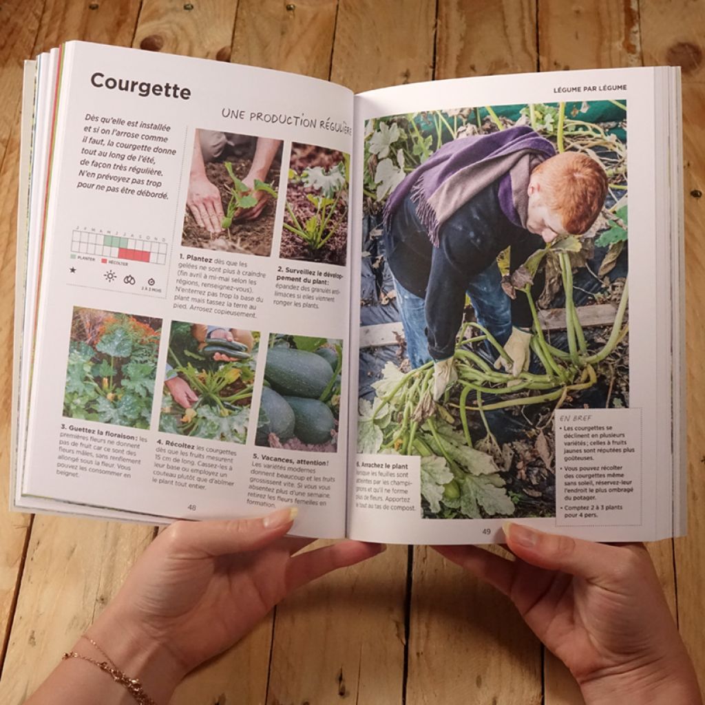 Guide du potager ultra-simple