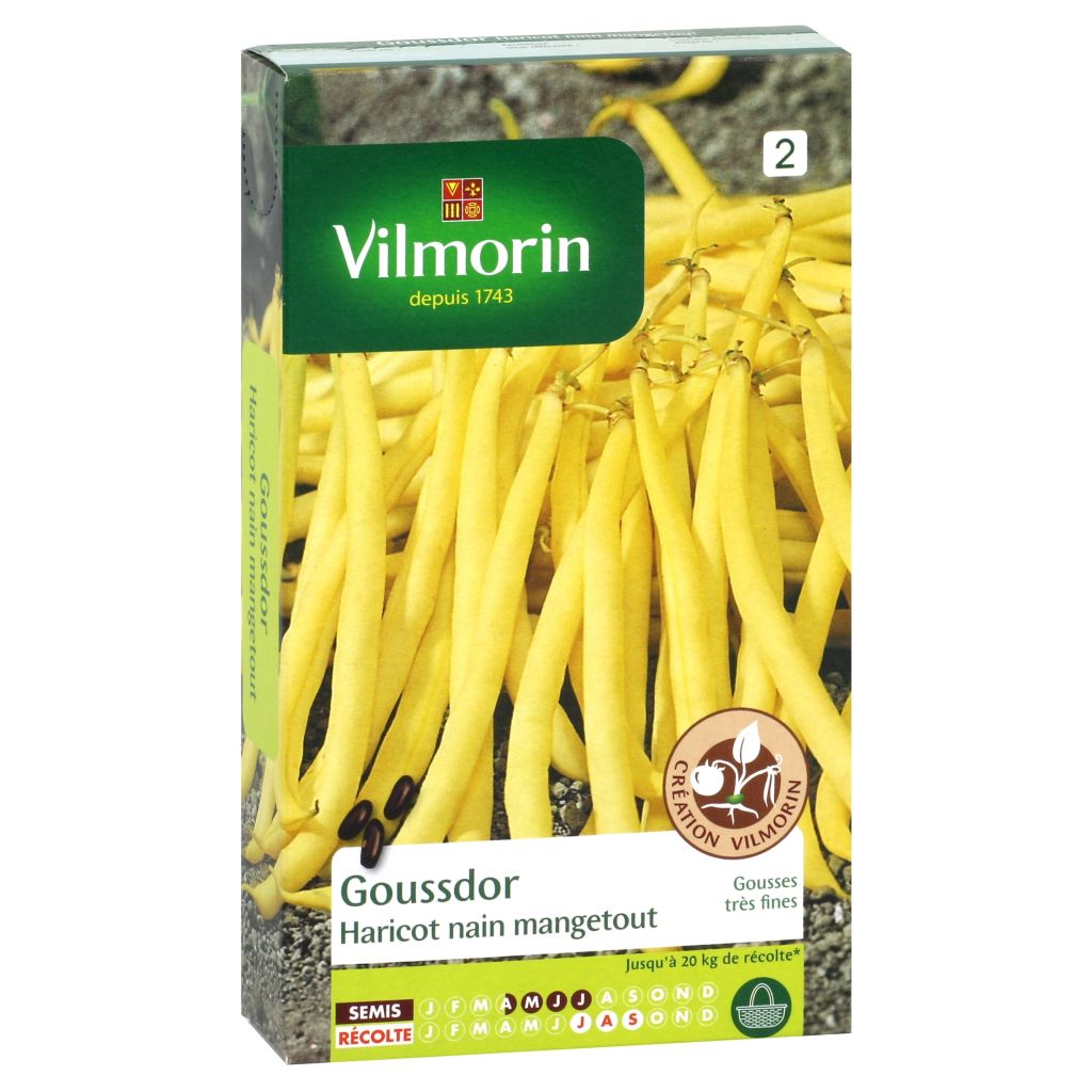 Haricot nain mangetout beurre Goussdor (Création Vilmorin) - Vilmorin