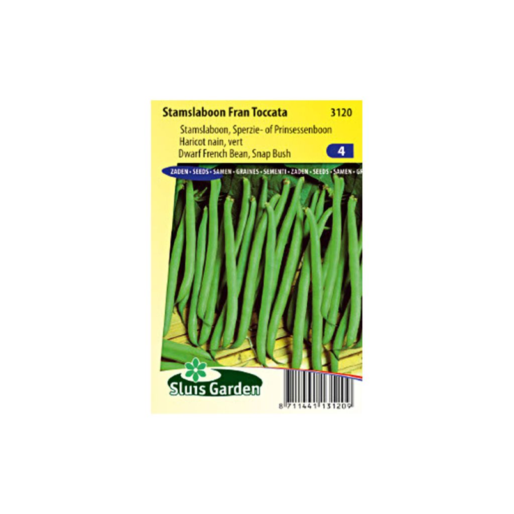 Haricot nain vert Fran Toccata