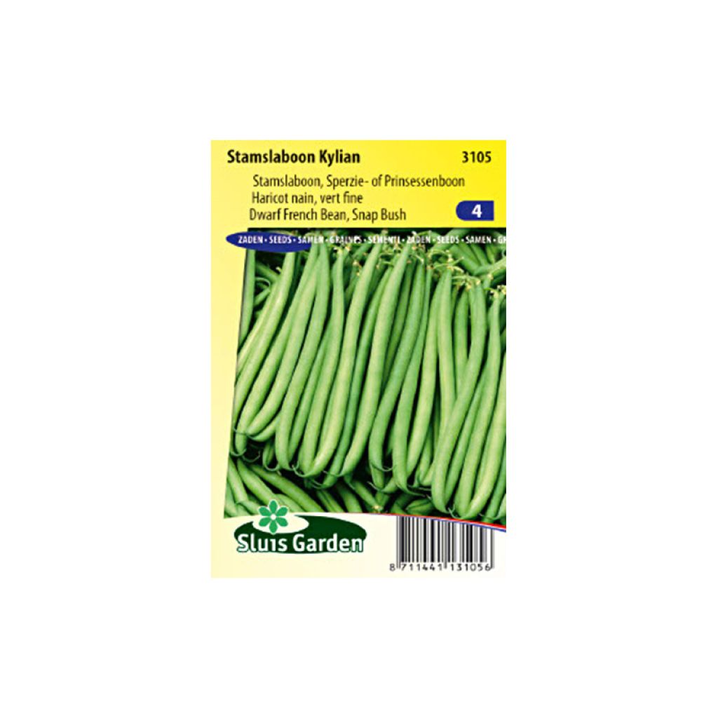 Haricot nain vert fine Kylian