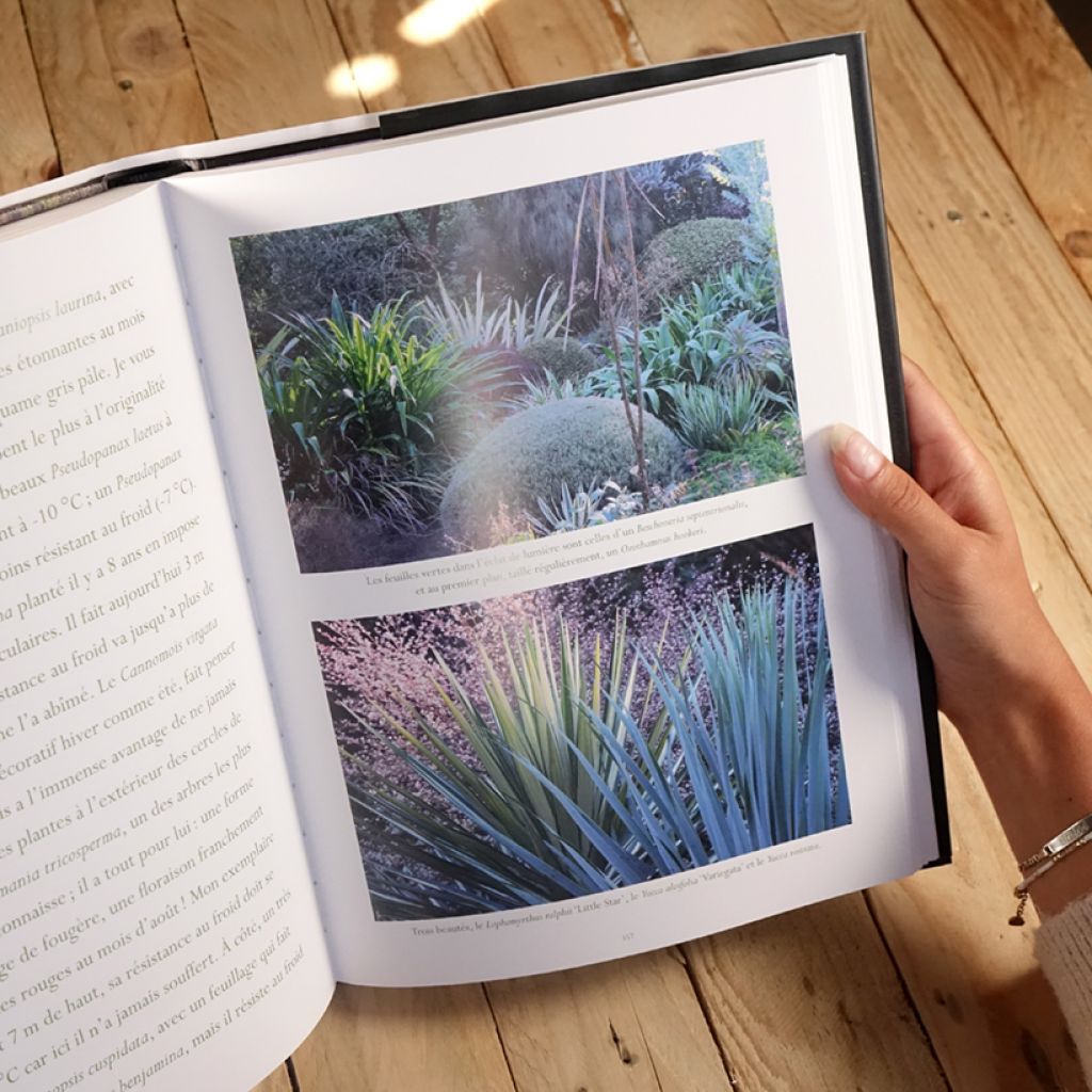 Jardin de Pellinec - L'ivresse des couleurs