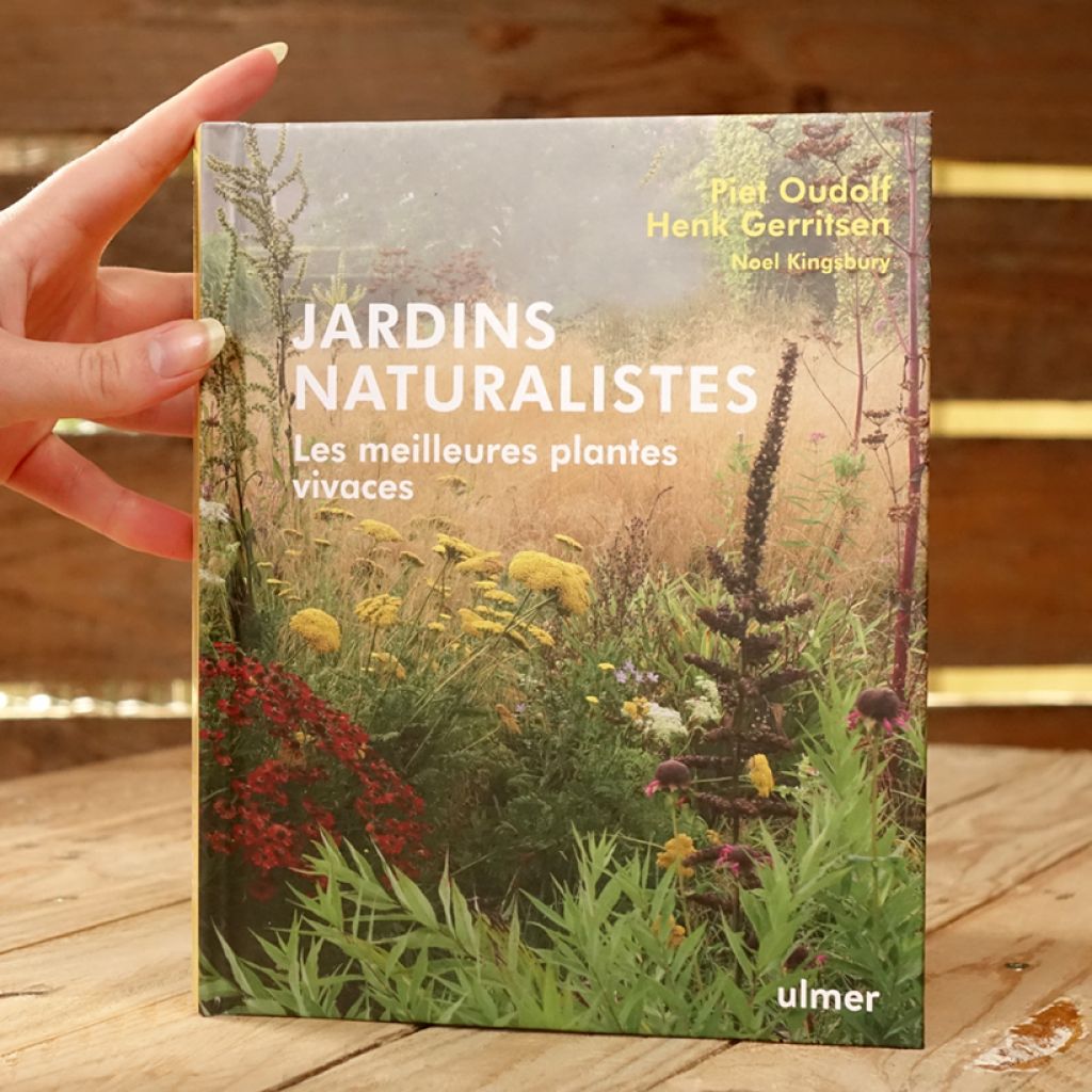 Jardins naturalistes - Les meilleures plantes vivaces