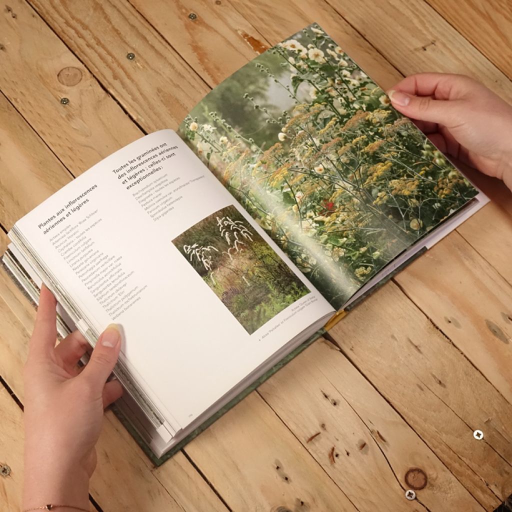 Jardins naturalistes - Les meilleures plantes vivaces