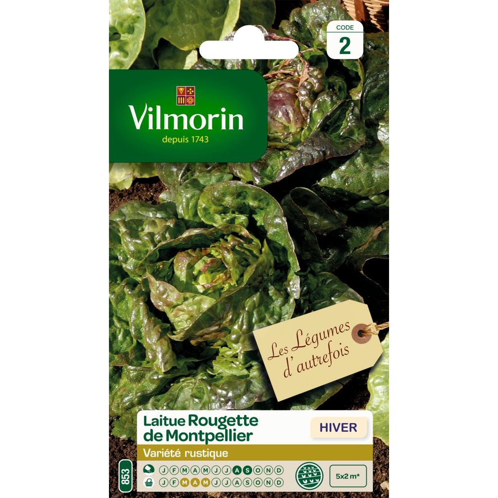 Laitue Grasse Rougette de Montpellier (graines noires) - Vilmorin