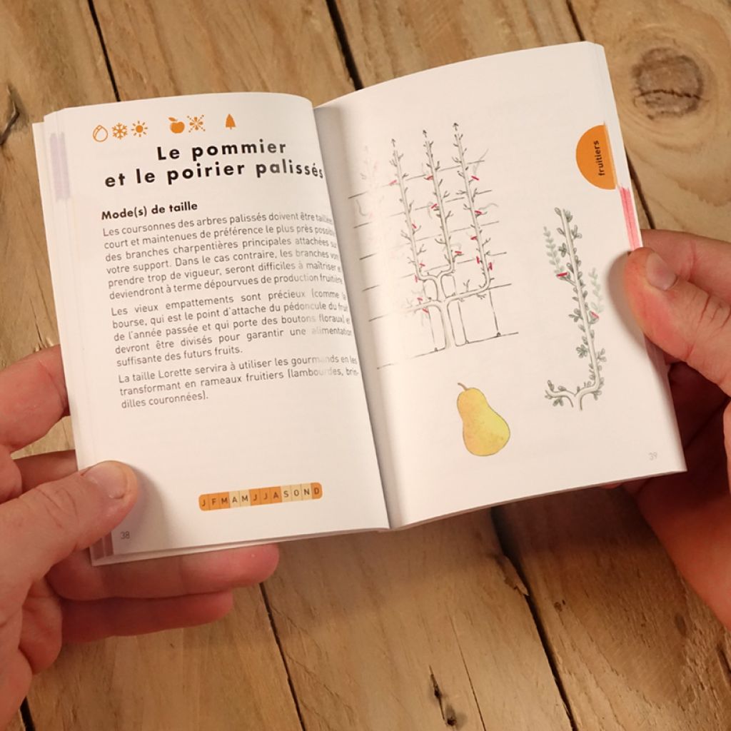 Le Petit Guide de la taille