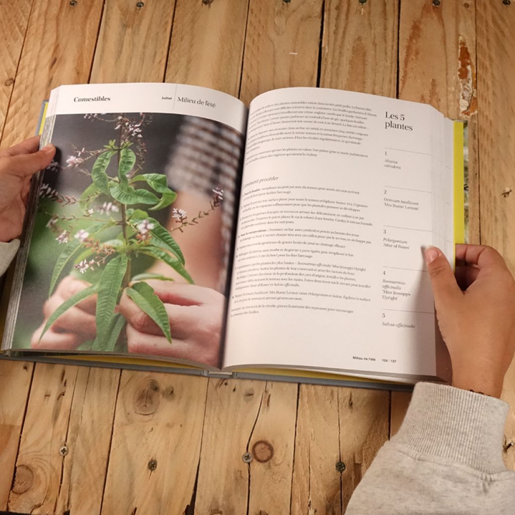 Les belles harmonies du jardin