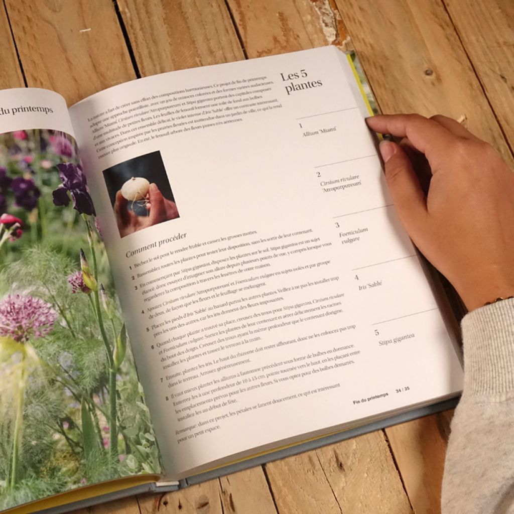 Les belles harmonies du jardin