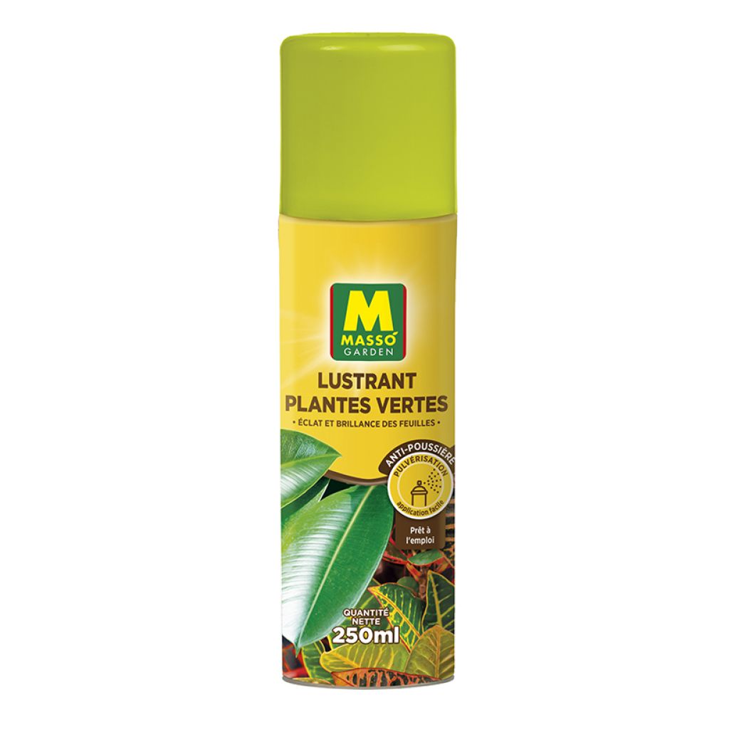 Lustrant Plantes Vertes Masso Garden
