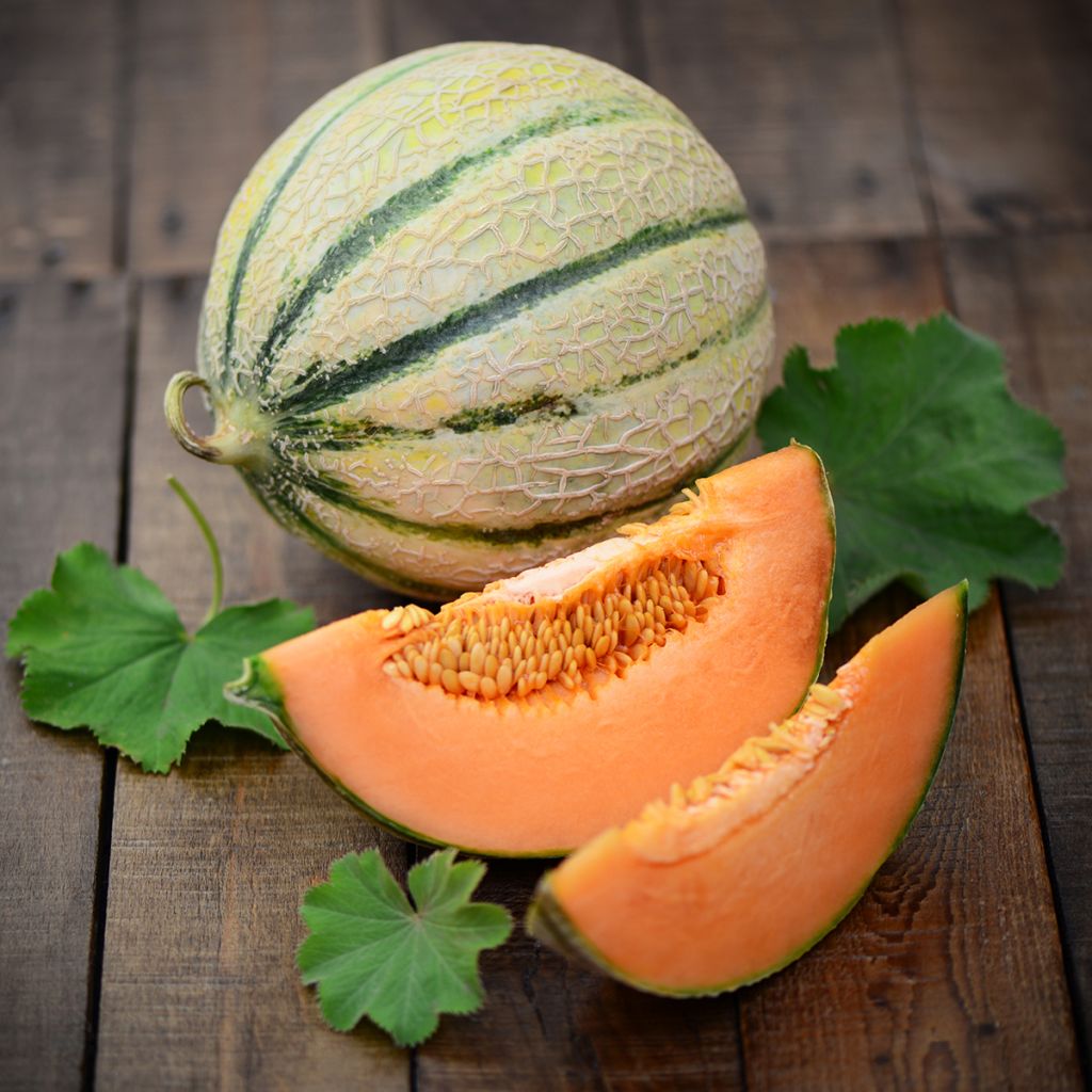 Melon Charentais Bio Graines