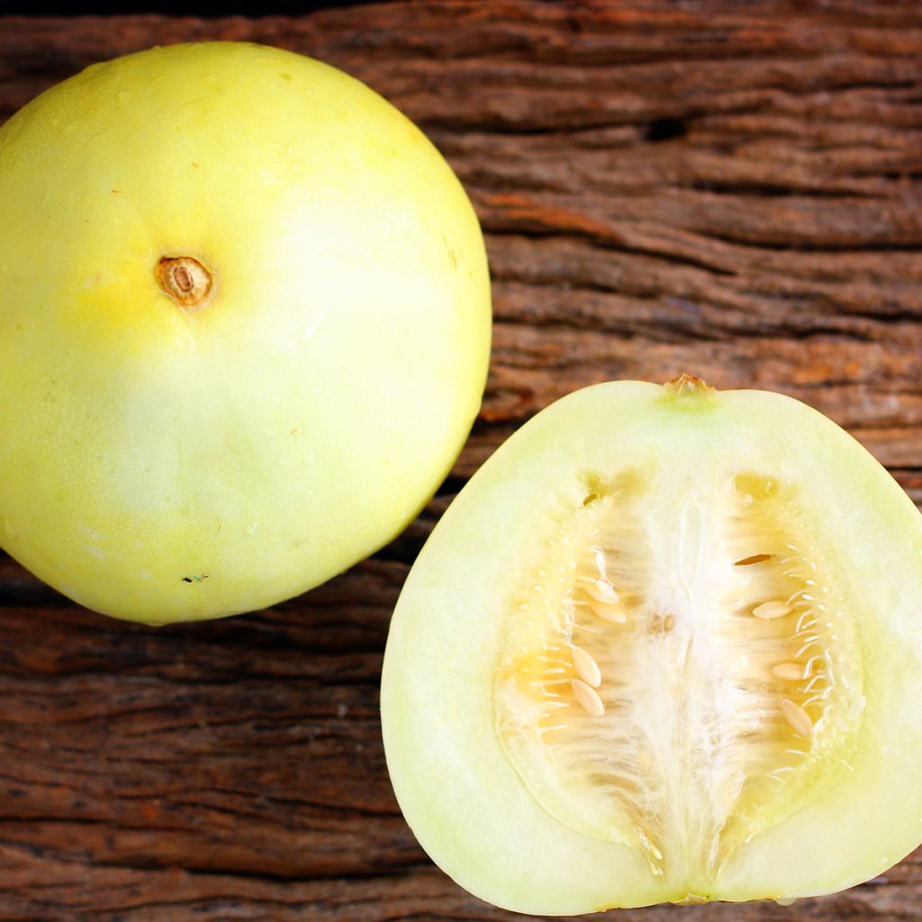 Melon Honey Dew Bio - Ferme de Sainte Marthe