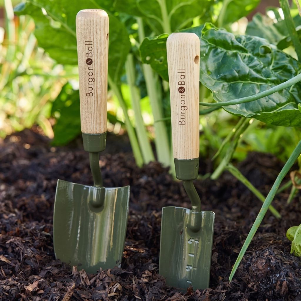 Plantoir BoronGreen Burgon and Ball - Gamme RHS