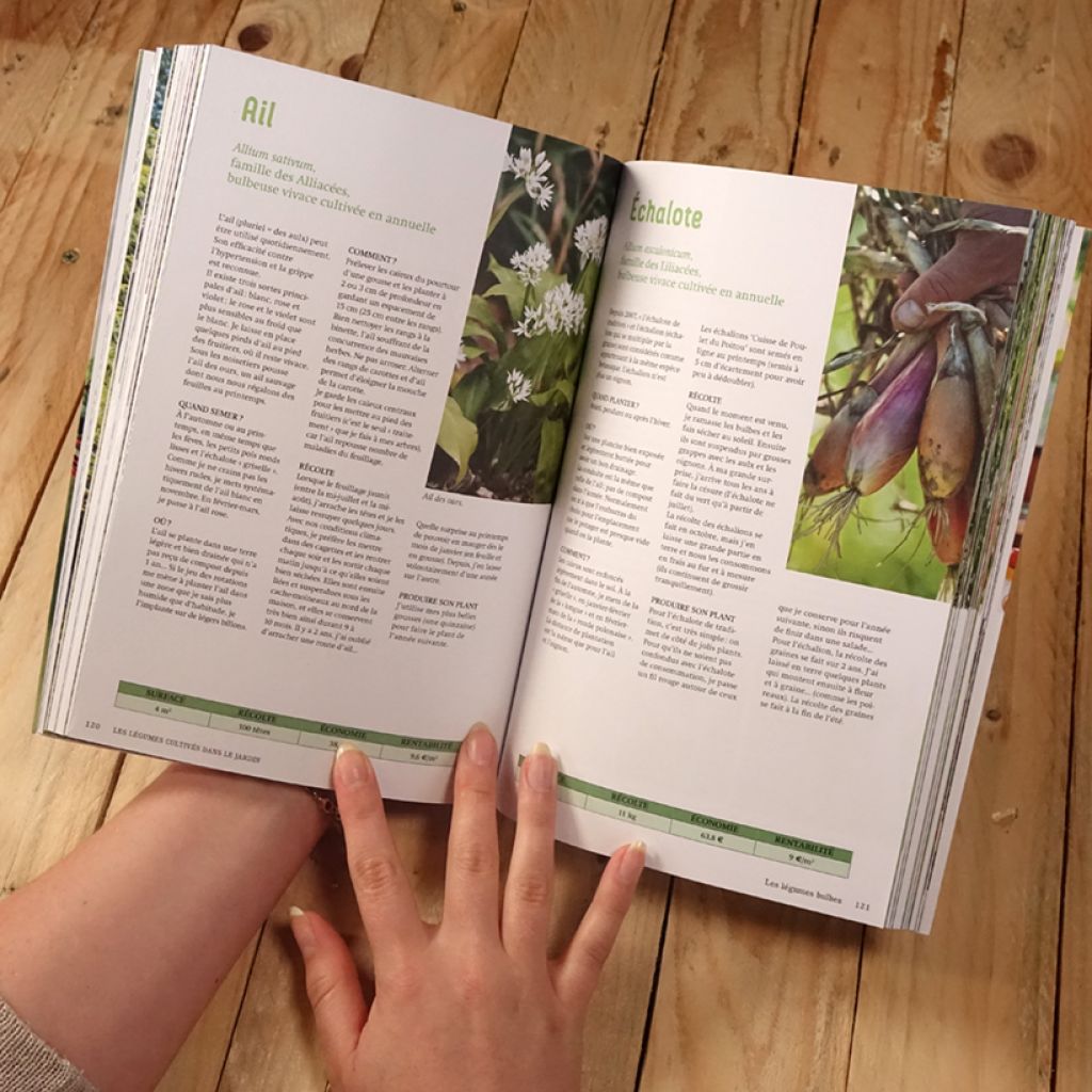 Le potager anti-crise - Faire des économies en cultivant ses légumes