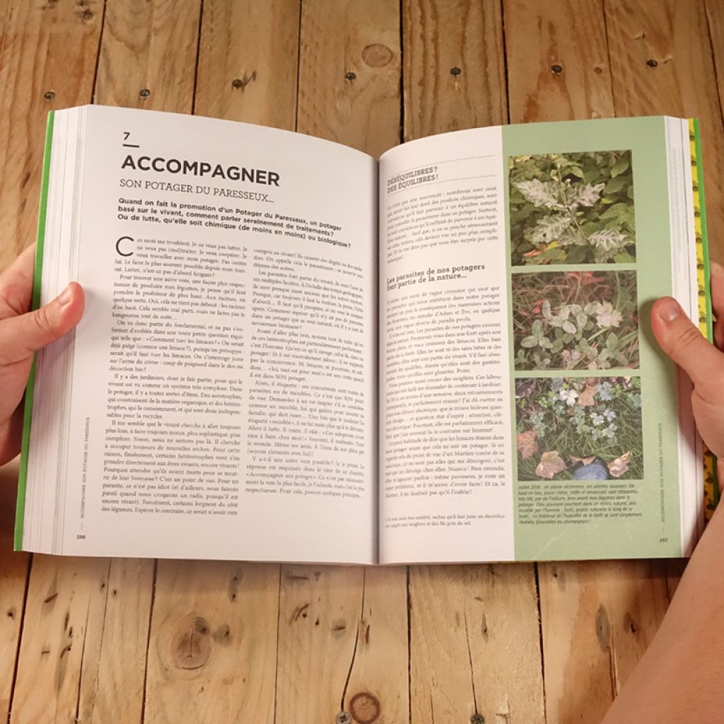 Réussir son Potager du Paresseux