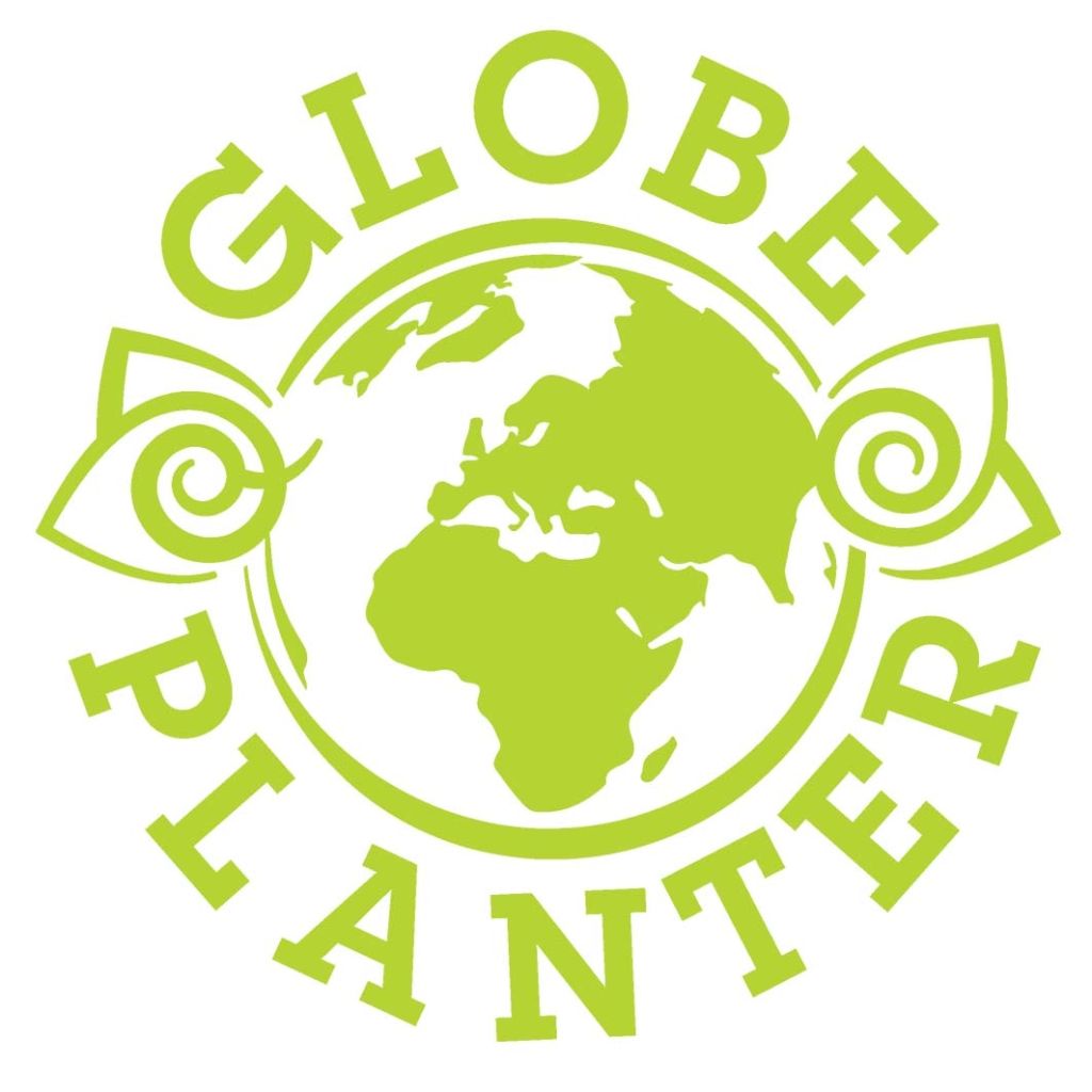 Sempervivum Chick Charms ® Appletini - Joubarbe hybride verte pointée de violacé