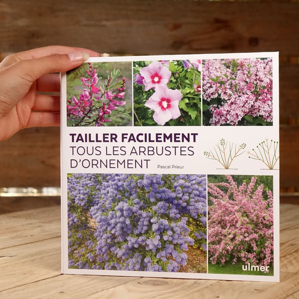 Tailler facilement tous les arbustes d'ornement