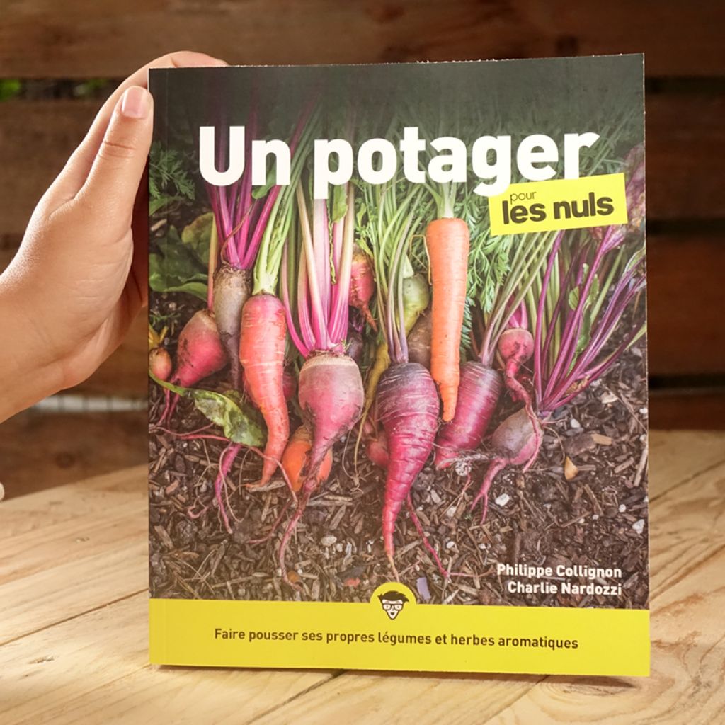 Un potager pour les Nuls