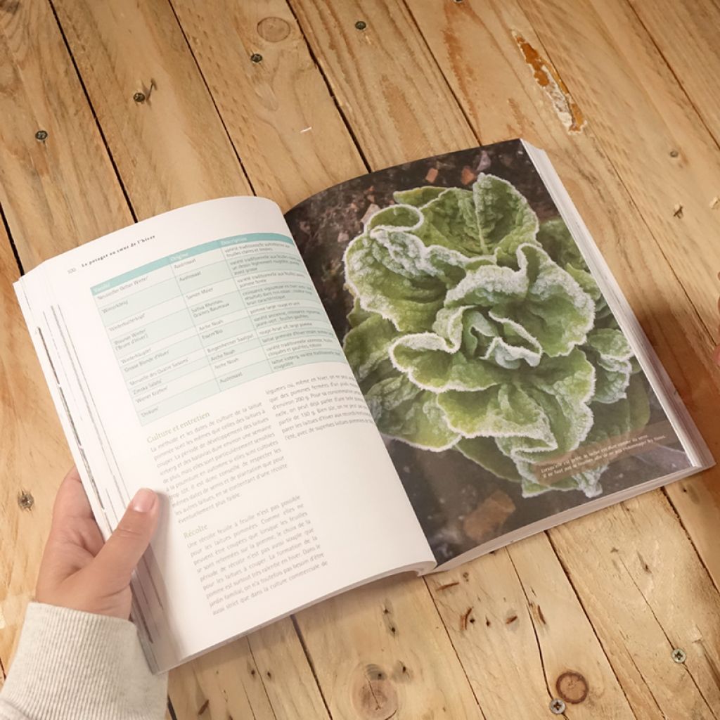 Un potager au coeur de l'hiver