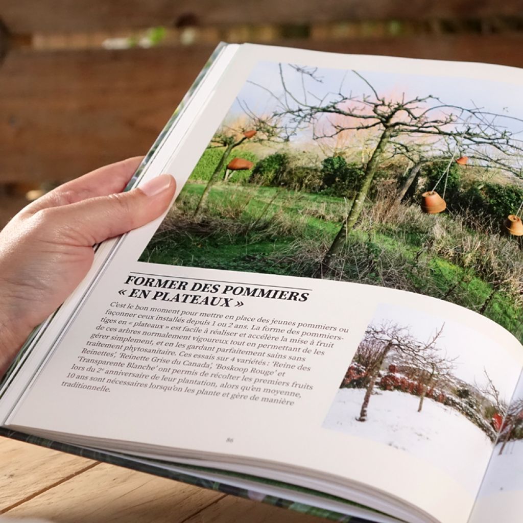 Une année au jardin avec un dingue de plantes - Idées et solutions inspirées de la nature